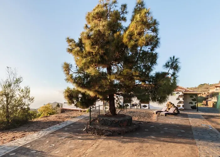 Palmera La Solanita Chalé Puntagorda
